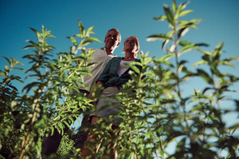 Comment l’Occitane trace le sillon de l’agroécologie en Provence