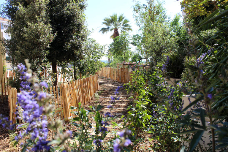 En images | Un îlot de verdure a poussé place de l&rsquo;Honnêteté, face aux plages du Prado