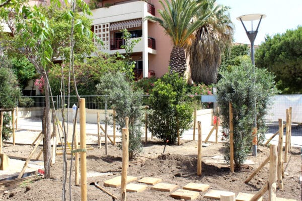 place-honnetete-vegetalisation-1