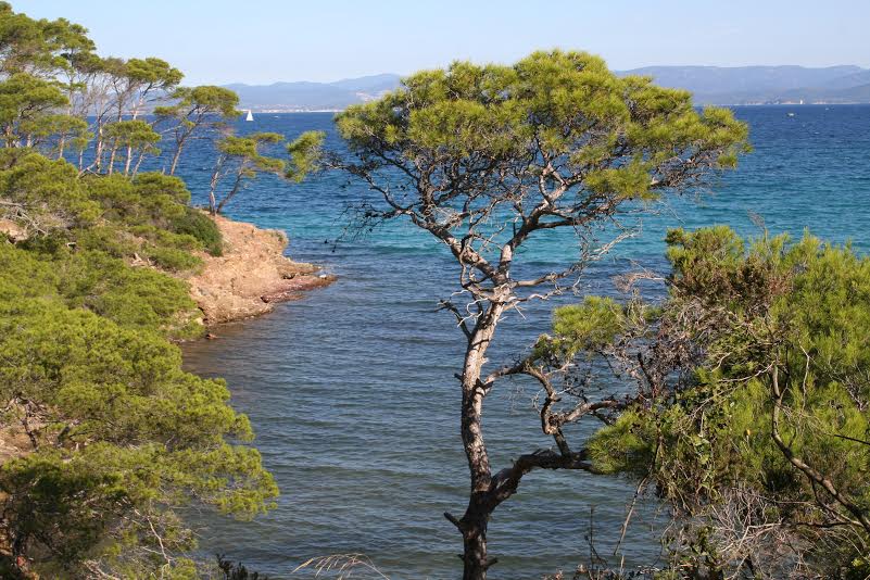 La région PACA reste le leader du tourisme en France !