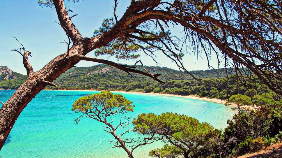Une plage varoise devient la « plus belle plage d&rsquo;Europe »