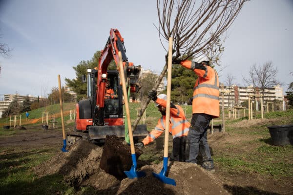 plan-arbres-parc-26-centenaire