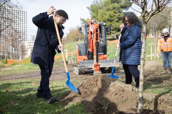 plan-arbres-parc-26-centenaire-payan-benmarnia
