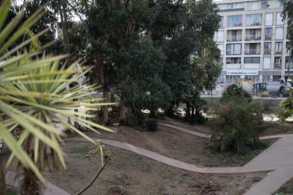 plan-arbres-parc-26-centenaire2