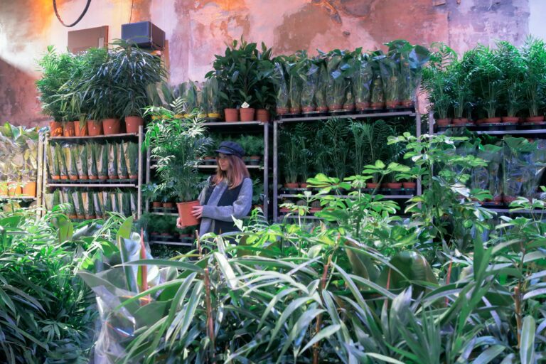 Une grande vente éphémère de plantes à petit prix fin janvier à Marseille
