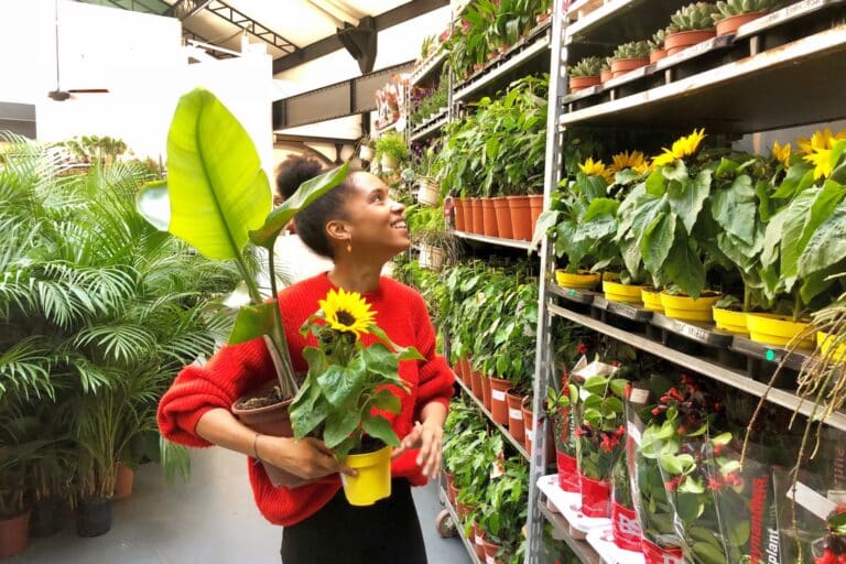 À Marseille, Plantes Pour Tous installe sa grande vente végétale rue de la République