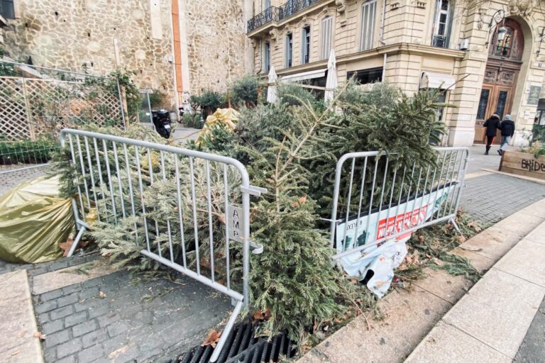 Plus de 600 points de collecte pour recycler les sapins de Noël dans la Métropole