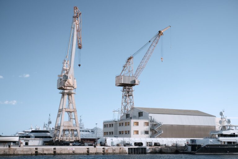 Une nurserie artificielle pour relancer les populations de poissons à La Ciotat