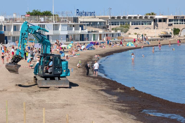 Vidéo | Pourquoi Marseille crée des « mille-feuilles » de posidonie sur la plage de la Pointe-Rouge ?