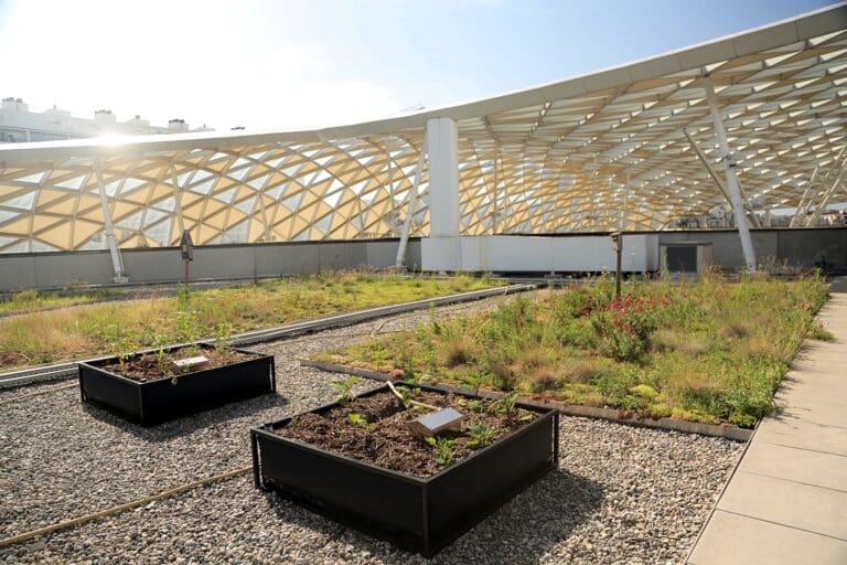 Un potager pédagogique s&rsquo;installe sur le toit du centre commercial du Prado