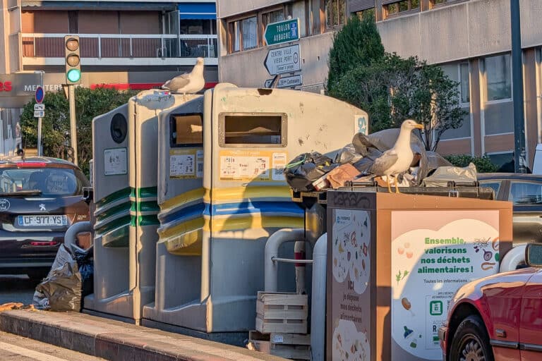 Une enquête en ligne questionne les Marseillais sur les déchets pour les municipales