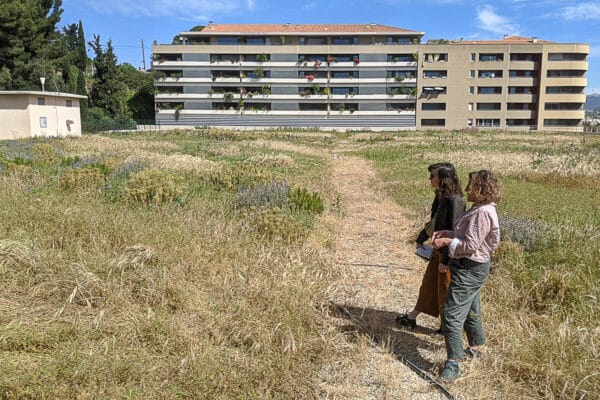 prairie-toit-reservoir-lacedemone-biodiversité-01