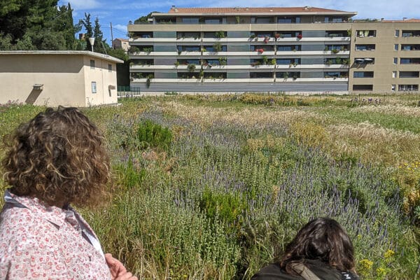 prairie-toit-reservoir-lacedemone-biodiversité-02