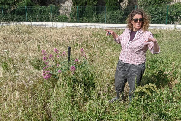 prairie-toit-reservoir-lacedemone-biodiversité-08