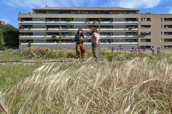 prairie-toit-reservoir-lacedemone-biodiversité-11
