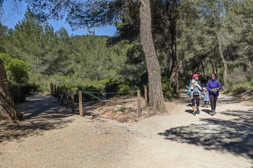 pi&eacute;tinement, Des am&eacute;nagements pour prot&eacute;ger les Calanques du pi&eacute;tinement des promeneurs, Made in Marseille