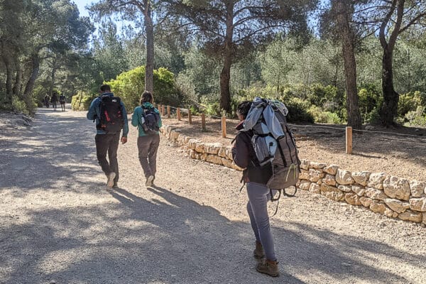 promeneurs-randonneurs-amenagements-sentier-calanques-sugiton-luminy