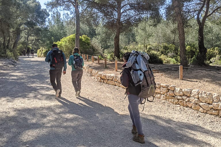 Des aménagements pour protéger les Calanques du piétinement des promeneurs