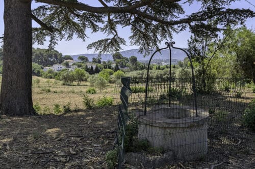 agricole, En images | &Agrave; Marseille, la renaissance d&rsquo;un vieux domaine agricole sauv&eacute; du b&eacute;ton, Made in Marseille