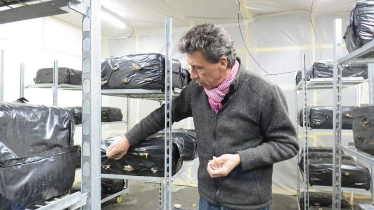Des tunnels d’Entrecasteaux aux parkings de HLM, les Champignons de Marseille veulent encore pousser