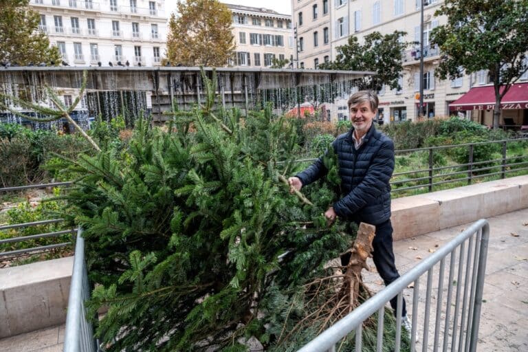 Des espaces de collecte pour recycler votre sapin dans toute la métropole