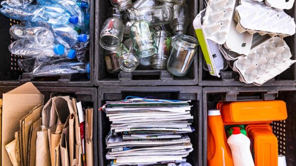 recyclage-dechet-ecologie