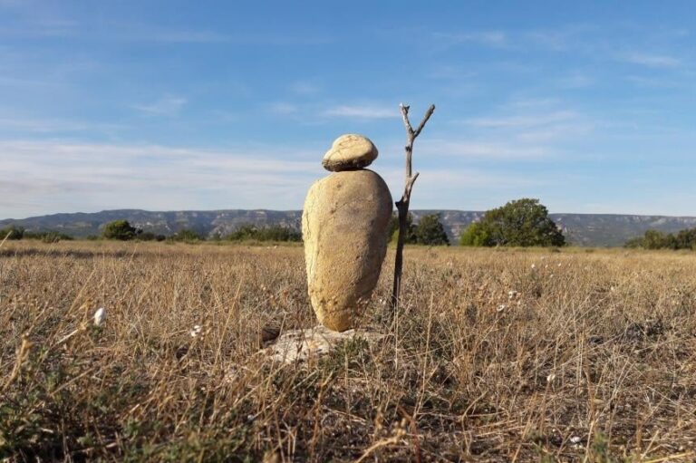 La Métropole crée sa première réserve naturelle pour protéger la biodiversité