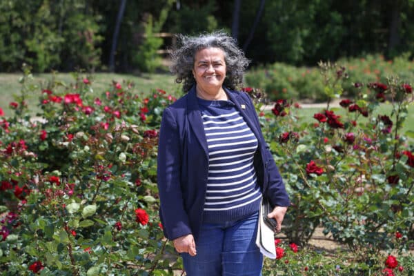 roseraie-borely-rose-benmarnia