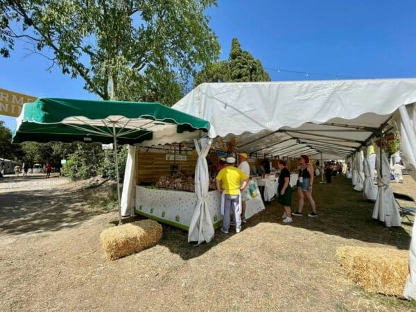 Salon des agricultures de Provence, Reportage : suivez en direct le Salon des Agricultures de Provence, Made in Marseille