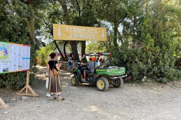 Salon des agricultures de Provence, Reportage : suivez en direct le Salon des Agricultures de Provence, Made in Marseille