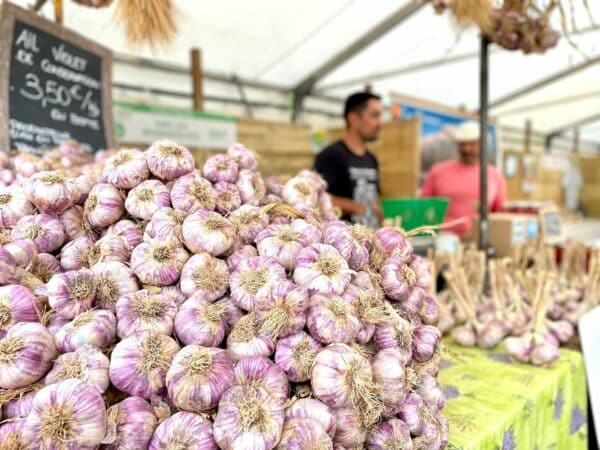 Salon des agricultures de Provence, Reportage : suivez en direct le Salon des Agricultures de Provence, Made in Marseille