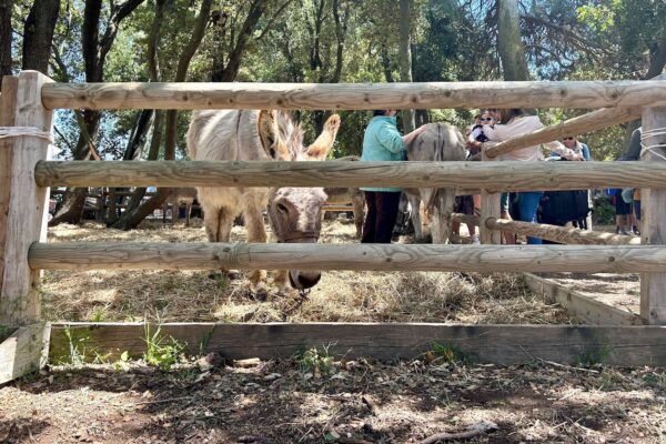 salon-agricultures-provence-2024-6