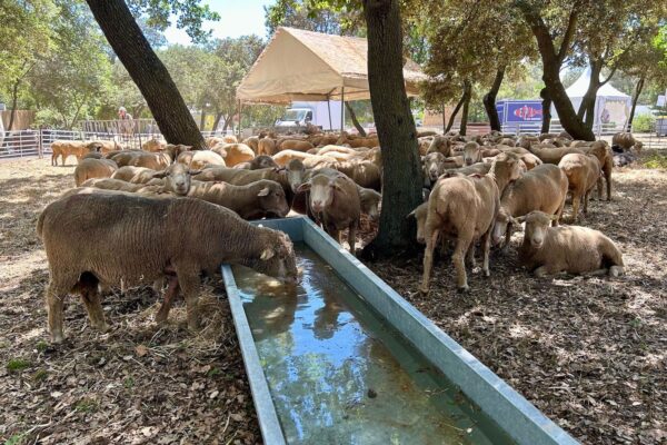 salon-agricultures-provence-2024-7