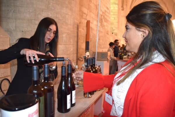 salon-decouverte-en-valle-du-rhone copie