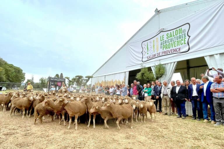 Reportage : suivez en direct le Salon des Agricultures de Provence