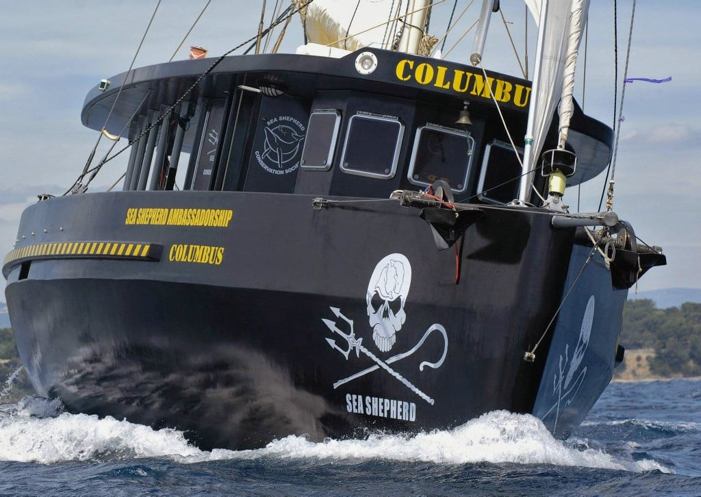 [Reportage] Les pirates de Sea Shepherd à Marseille pour sauver la Méditerranée