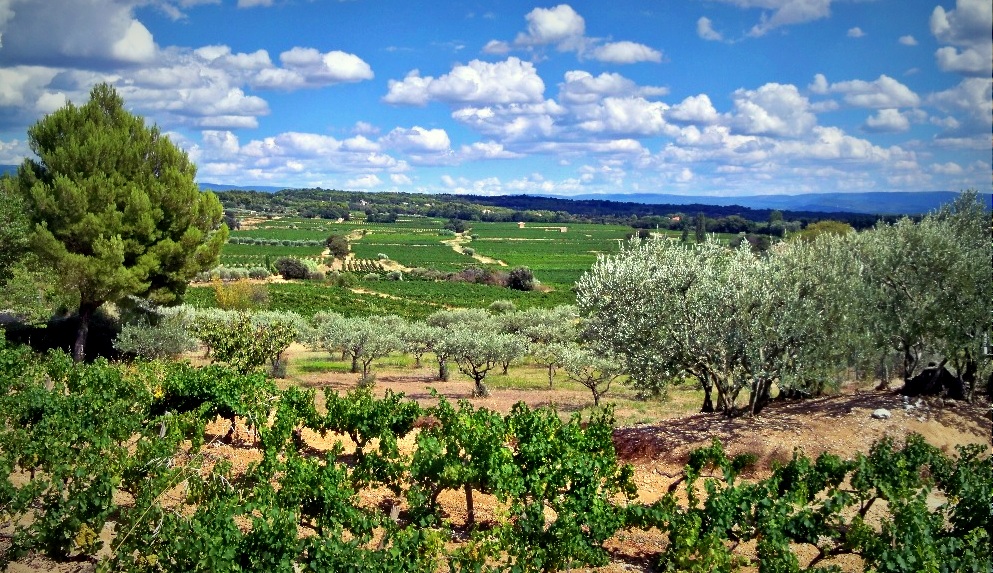 L&rsquo;Europe verse 476M€ à la région pour l&rsquo;agriculture et l&rsquo;environnement !