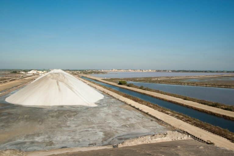 Le sel de Camargue décroche son IGP après 10 ans d&rsquo;attente