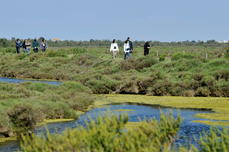 Festival de la Camargue : cinq jours pour (re)découvrir le delta du Rhône