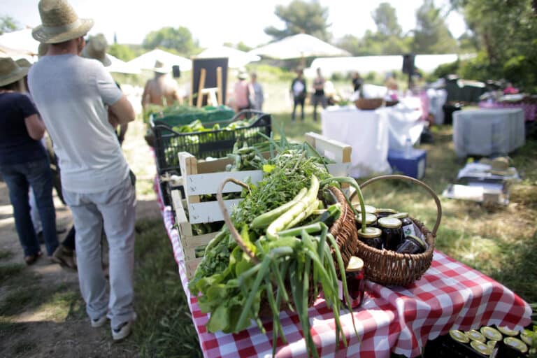Dix mesures pour développer l&rsquo;agriculture urbaine dans le Département