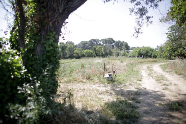 ste-marthe-agriculture-urbaine4