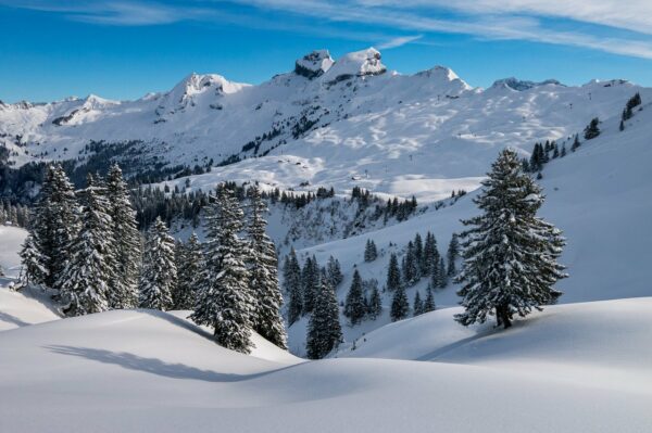 suera-region-alpine-nice