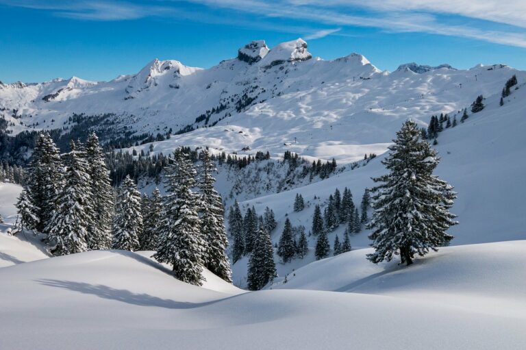SUERA : La Région Sud accueille le Forum international sur l&rsquo;avenir des régions alpines