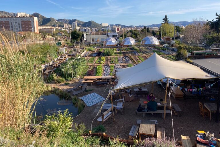 La ferme urbaine Le Talus célèbre ses 5 ans avec une journée d&rsquo;animations