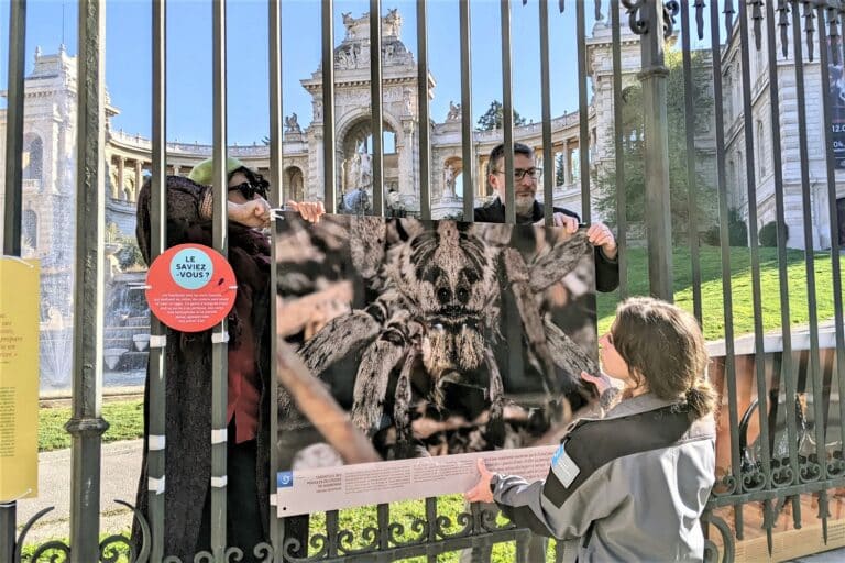 Les araignées grimpent aux grilles du palais Longchamp avec l&rsquo;expo photo du Parc des Calanques