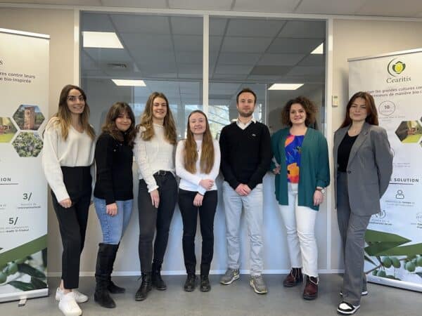 team-cearitis