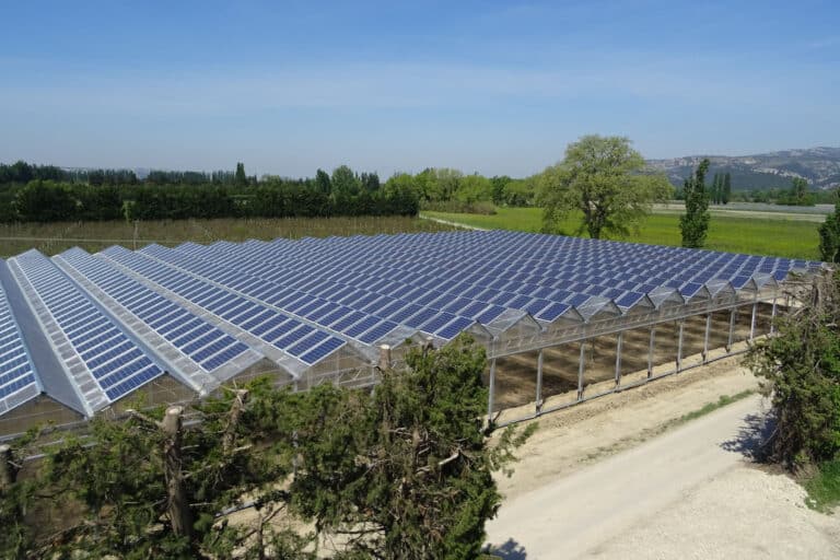 La belle croissance de Tenergie, 2e acteur de l&rsquo;énergie solaire en France
