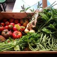 terre-mars-agriculture-urbaine