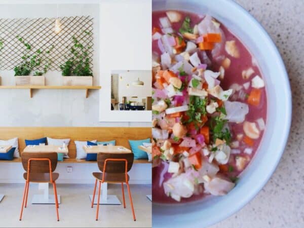 toia-restaurant-joliette-ceviche