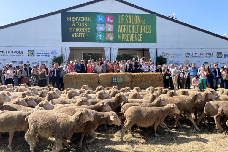 Animaux, producteurs locaux, animations… le Salon des Agricultures de Provence de retour ce week-end